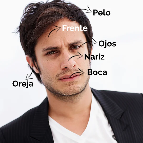 partes-do-corpo-em-espanhol